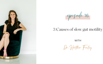 Ep. 16: 3 Causes of slow gut motility