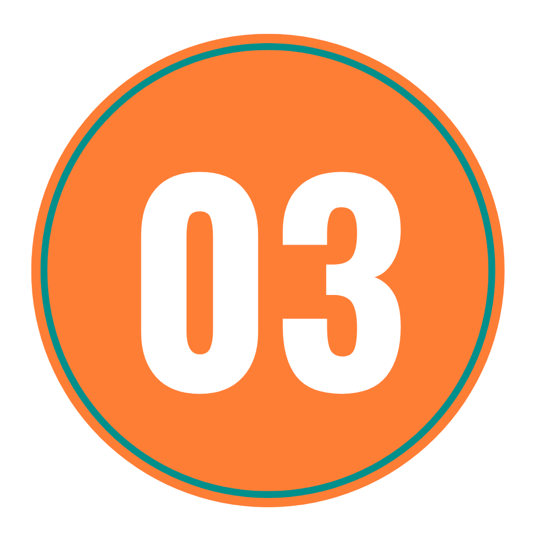 3 (2)