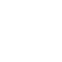 Liver Liver Icon